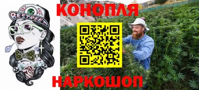 гашик Кунгур