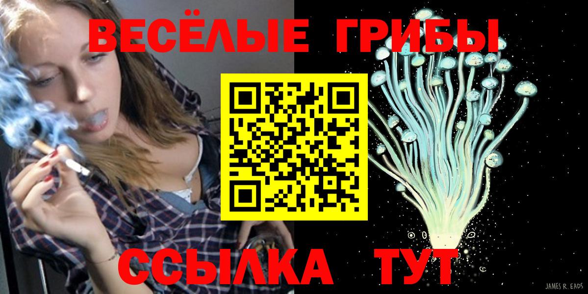 Псилоцибиновые грибы Psilocybe Дзержинский