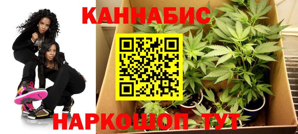 Бошки Шишки тримм Дзержинский